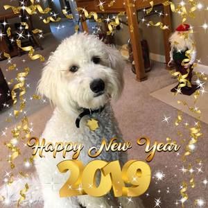 Meet your Posher, Debbie-bill